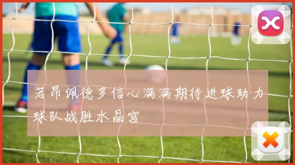 若昂佩德罗信心满满期待进球助力球队战胜水晶宫