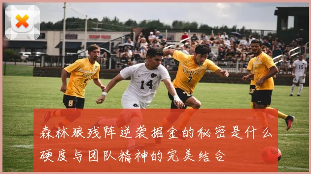 森林狼残阵逆袭掘金的秘密是什么硬度与团队精神的完美结合