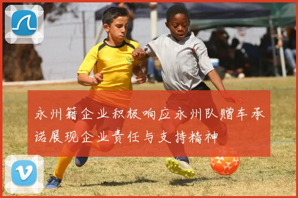 永州籍企业积极响应永州队赠车承诺展现企业责任与支持精神